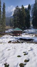 Weekend Getaway Kashmir,Gulmarg Special, 4 Star