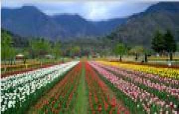 Memorable 7 Days srinagar to arrival srinagar airport pahalgam Vacation Package