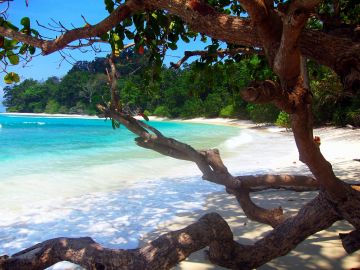 4 Days 3 Nights Havelock Island Tour Package