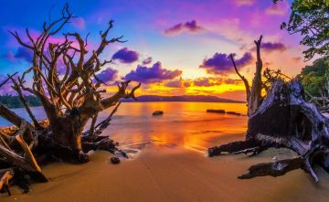 4 Days 3 Nights Havelock Island Tour Package by SkyeTrip