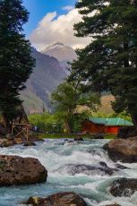 Pleasurable 6 Days 5 Nights srinagar Holiday Package