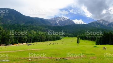 6 Days 5 Nights srinagar to pahalgam Trip Package