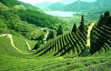 Ecstatic 7 Days 6 Nights cherrapunji Vacation Package