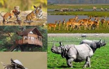 Heart-warming 10 Days guwahati to tawang Trip Package