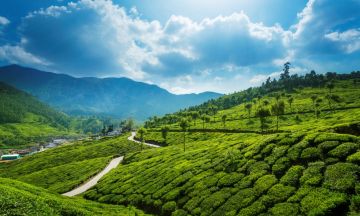 5 Days 4 star kerala tour package