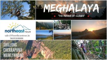 7 Days 6 Nights NJPRailwayBagdogra AirportSiliguri to Kalimpong Luxury Trip Package