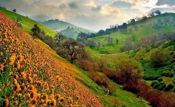 Memorable 5 Days Delhi to auli Holiday Package