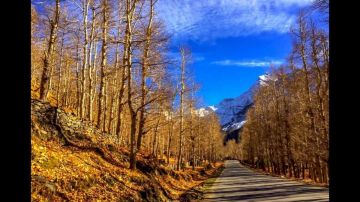 4 Days delhi with manali Hill Stations Trip Package