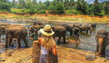 Magical 9 Days yala sri lanka Holiday Package