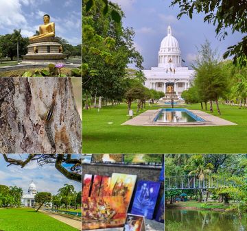 Pleasurable 7 Days dambulla Vacation Package by DIRECT LINK PVT LTD