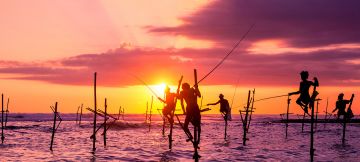 4 Days 3 Nights mirissa Honeymoon Holiday Package