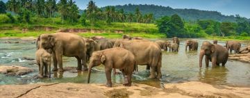 5 Days 4 Nights kandy, nuwara eliya, bentota and colombo Hill Stations Holiday Package