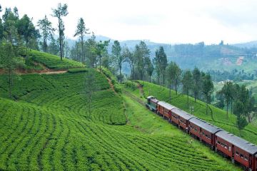 5 Days 4 Nights kandy, nuwara eliya, bentota and colombo Hill Stations Holiday Package