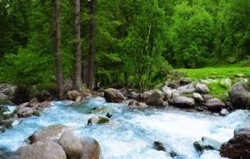 Pleasurable 3 Days 2 Nights srinagar with pahalgam Trip Package