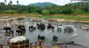 7 Days 6 Nights airport to kandy Trip Package