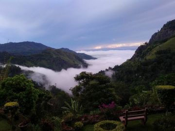 Experience 4 Days airport to kandy Holiday Package