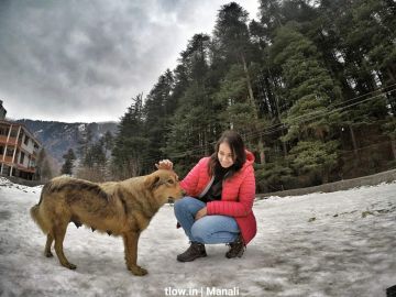 Best 4 Days Manali to rohtang pass Tour Package