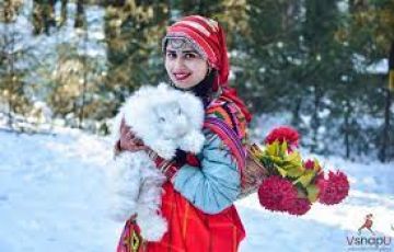 Family Getaway 4 Days 3 Nights manali Luxury Trip Package