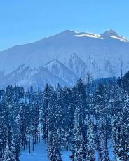 4 Days 3 Nights srinagar Luxury Tour Package