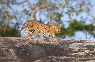 7 Days 6 Nights kandy Friends Vacation Package