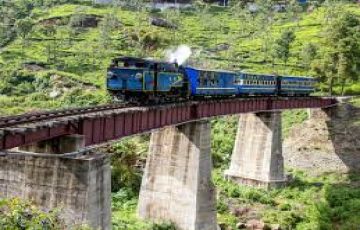 1 night Mysore and 2 nights Ooty tour