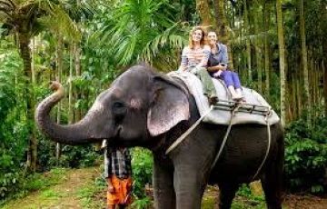 BANGALORE MYSORE COORG OOTY package