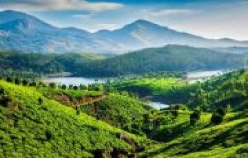 Family Getaway 5 Days Kochi to thekkady Holiday Package