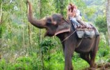 Family Getaway 5 Days Kochi to thekkady Holiday Package