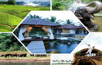 Best 5 Days 4 Nights munnar full day sightseeing Tour Package