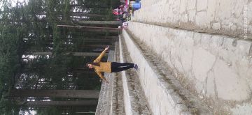 6 Days Delhi to shimla local sight seeing  kufri Tour Package