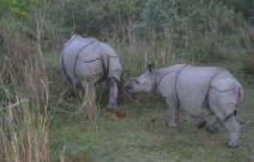 Family Getaway guwahati Tour Package for 2 Days