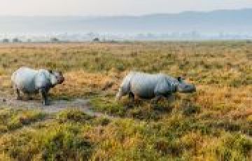 Best 6 Days 5 Nights guwahati Holiday Package