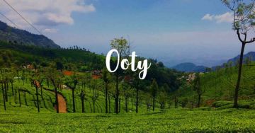 Pleasurable 4 Days ooty local sightseeing Tour Package
