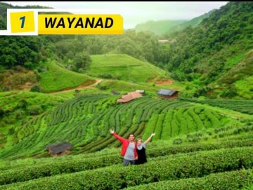 Best 5 Days Cochin to thekkady Trip Package