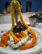 3 Days 2 Nights delhi to baijnath Holiday Package