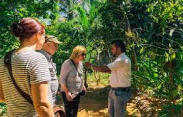 Memorable 6 Days colombo airport kandy Tour Package