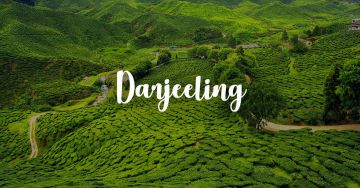 Darjeeling Tour Package 2 Night /3 Days