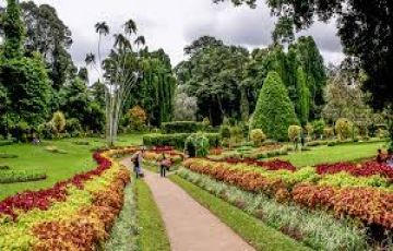 Beautiful 7 Days Bentota ColomboAirport,k to nuwaraeliya Vacation Package