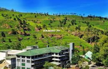 8 Days 7 Nights kandy colombo to colombo airport colombo Holiday Package