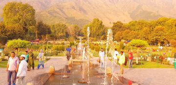 5 Nights 6 Days Kashmir Season Package