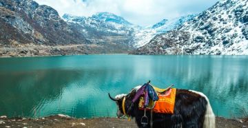 6 Days 5 Nights siliguri to gangtok Holiday Package