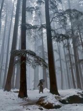 DELHI - MANALI VOLVO PACKAGE-4 Night 5 Days