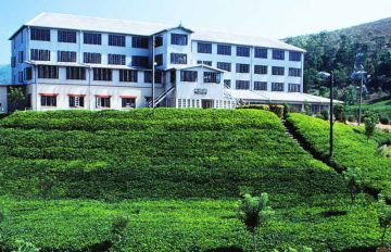 4 Days 3 Nights negombo to nuwara eliya Tour Package