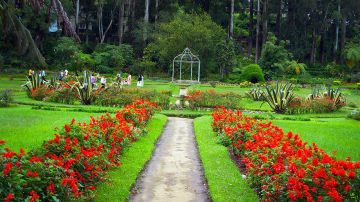 4 Days 3 Nights negombo to nuwara eliya Tour Package