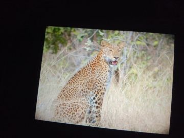 Pleasurable 4 Days nagpur to tadoba Vacation Package