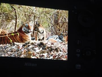 3 Days 2 Nights pench Family Trip Package