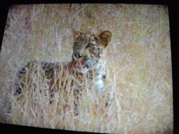 Amazing 2 Days 1 Night nagpur Family Trip Package