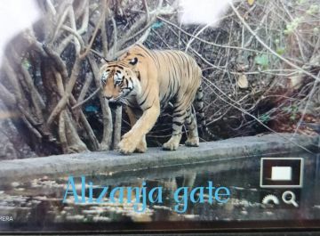 Amazing 3 Days 2 Nights tadoba Family Holiday Package