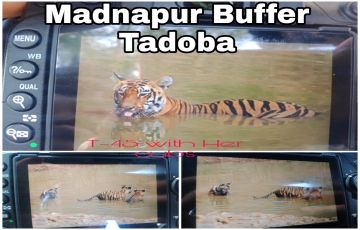 Amazing 3 Days 2 Nights tadoba Family Holiday Package