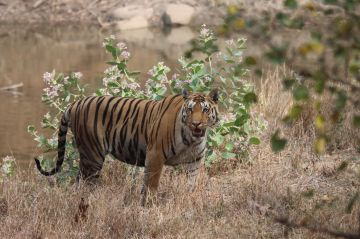 Ecstatic 4 Days 3 Nights nagpur Trip Package